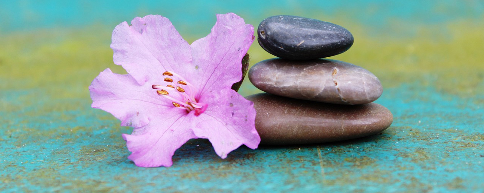 Zen und Sensory Awareness Workshop